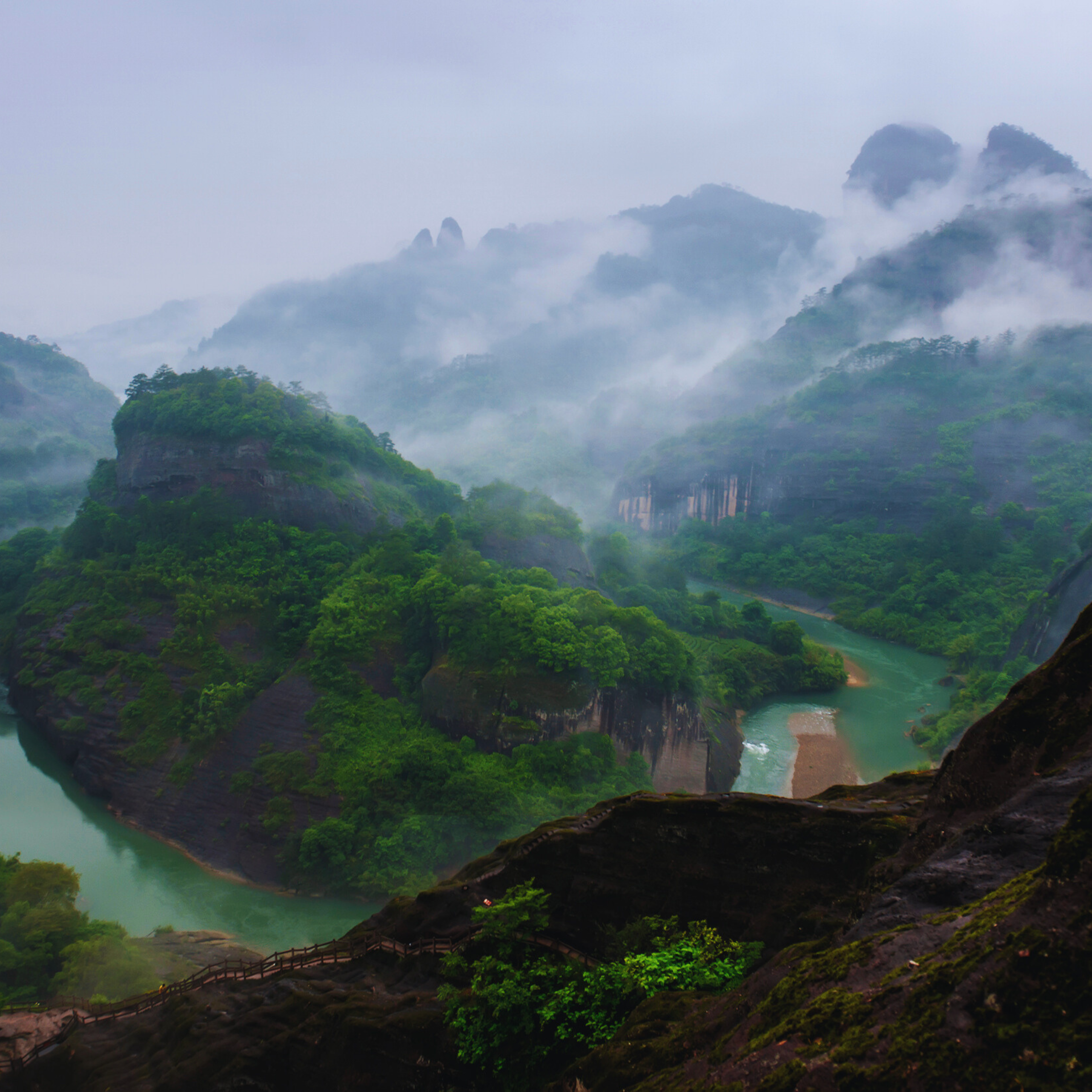 PREMIER CRU N0.03, ÉCLAT DE FEU