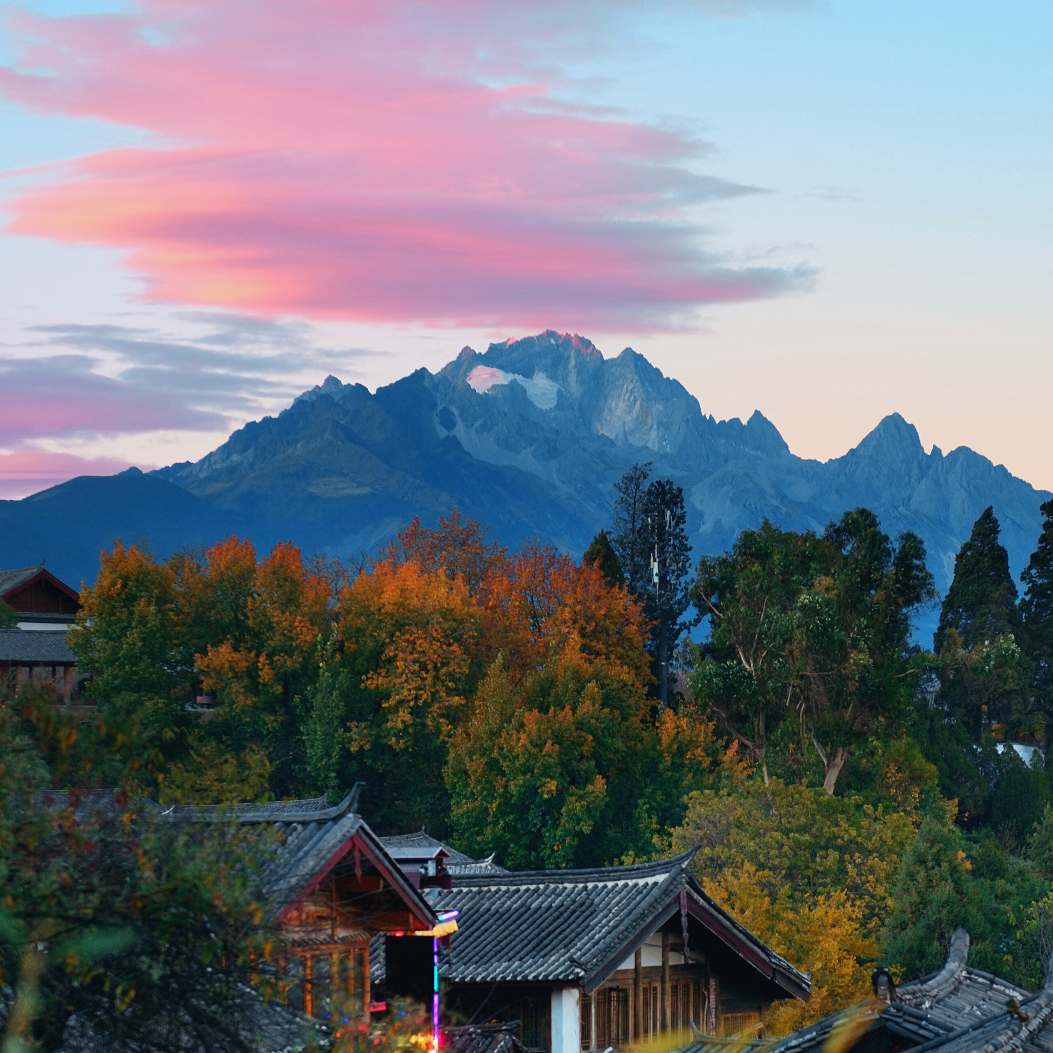 N0.03 JARDIN DE SHEN