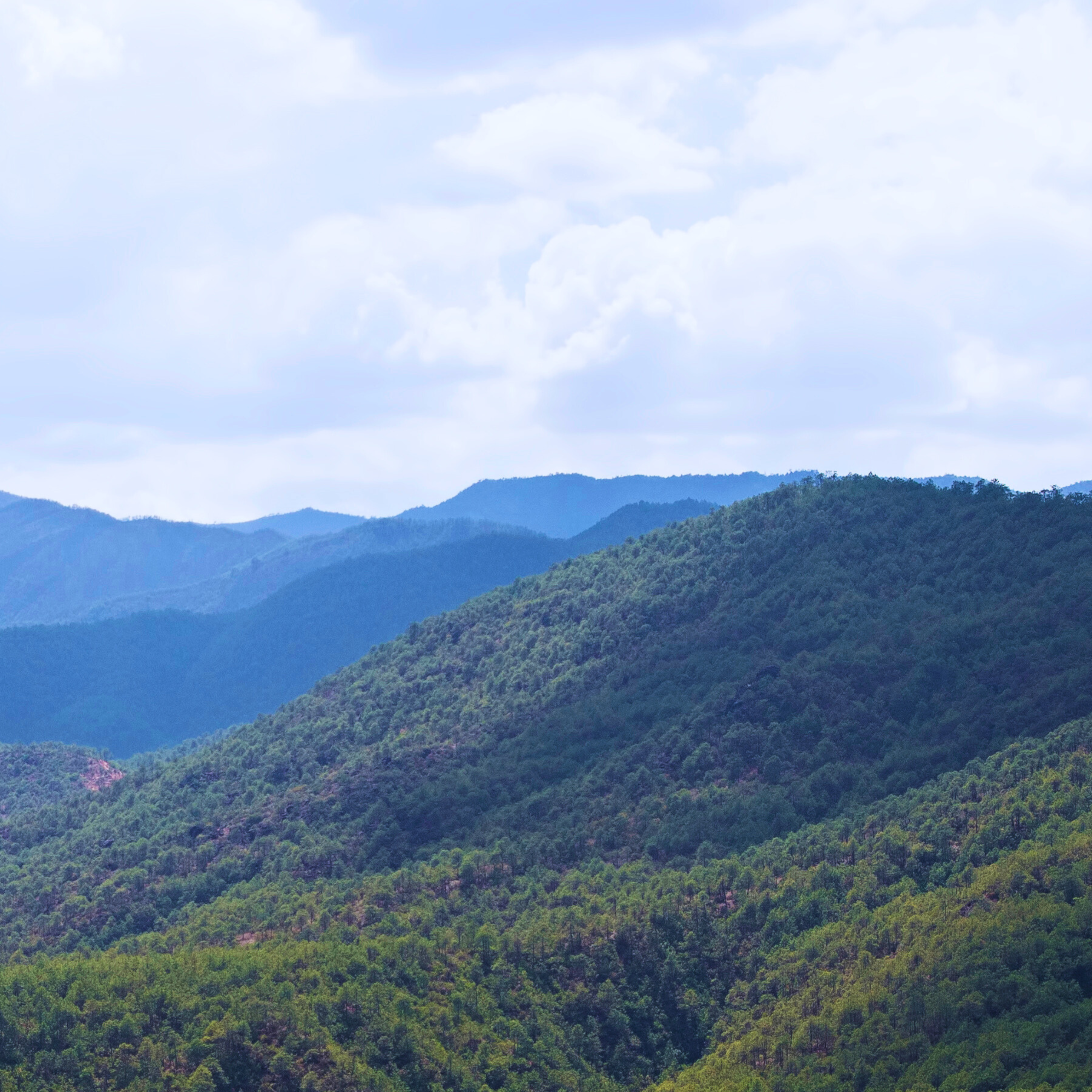 PREMIER CRU N0.02, LUEURS DE L'AUBE