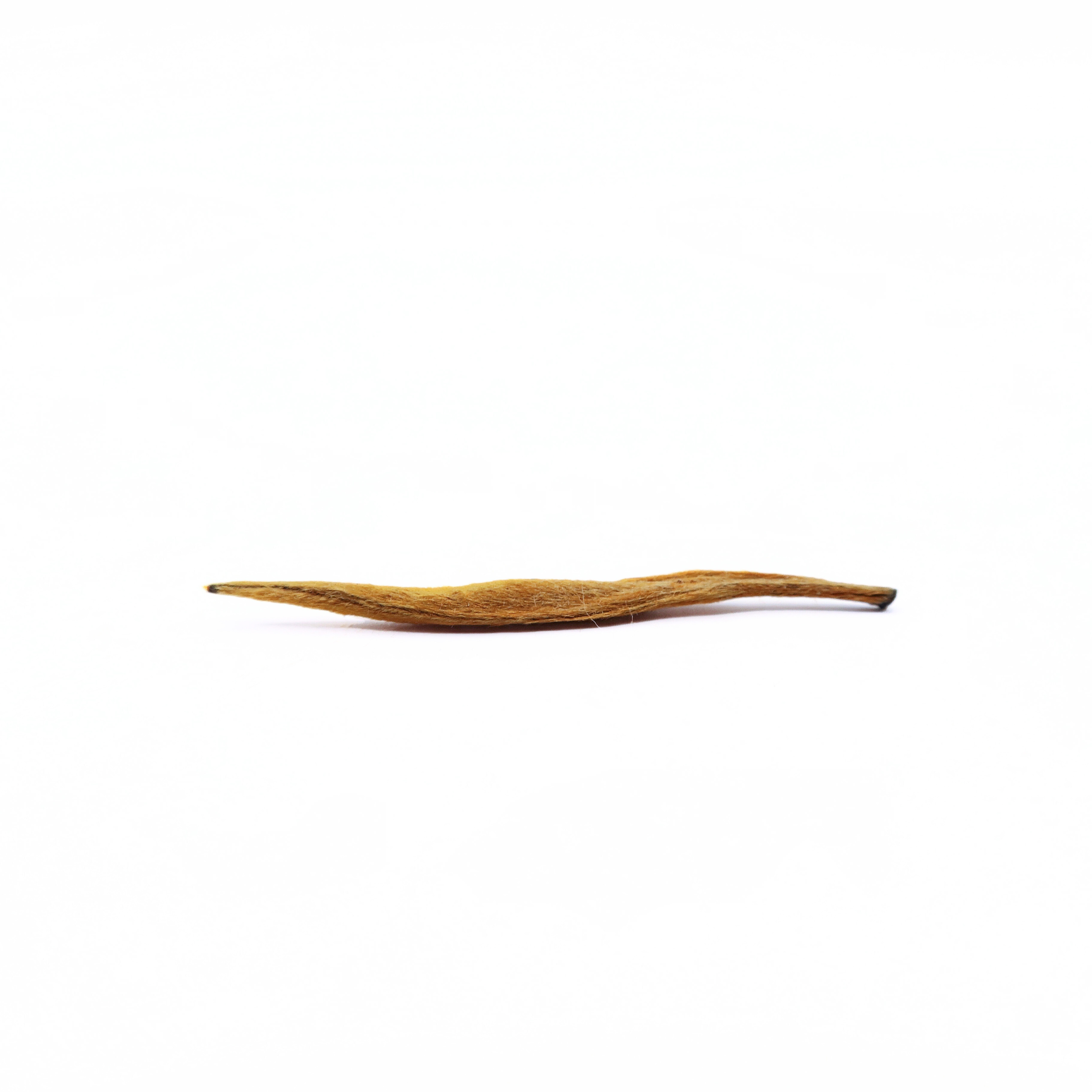 GRAND CRU N0.03, JARDIN DE SHEN